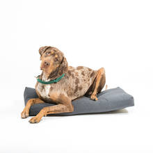 Dog cushion 90x50x10 cm