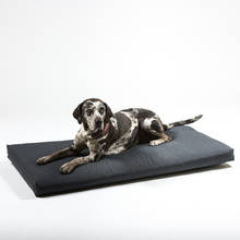 Dog cushion 122x68x10 cm